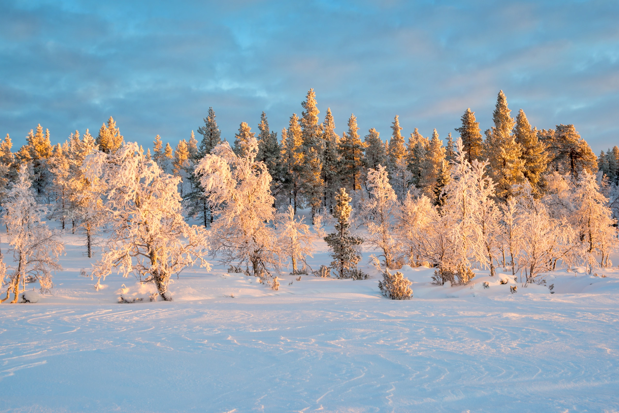Saariselkä[1].webp